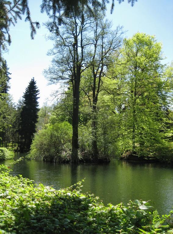 Augustenhof Bad Elster Εξωτερικό φωτογραφία